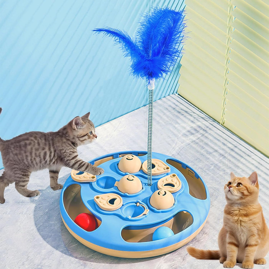 Unlock Your Cat’s Brain with These 3 Fun Games!