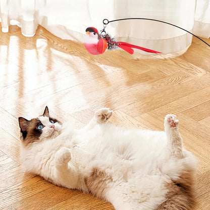 11Pcs Durable Fishing Pole Cat Feather Toy, Retractable Wand Toys, Cats Fishing Rod with 11 Pcs Feather Refills for Indoor & Outdoor Cats, Interactive Cat Feathers Toys with Retractable Fishing Pole