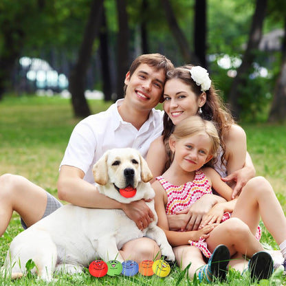 Breffima 12 Pcs Smile Inspirational Face Dog Squeaky Toys Latex Rubber Squeaky Ball Bulk Emoticon Dog Toys Chewing Interactive for Puppy Lovers Gift for Small Medium Pets Puppies Training