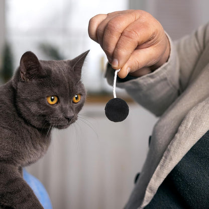 100 PCS Pom Pom Balls for Kittens, Cat Puff Ball Toys Lightweight Soft Plush Cats Ball 1.2Inch Colorful Kitten Cats Fuzzy Cat Balls Fun Interactive Toys for Indoorcat Kittens Playing Exercising(3 cm)