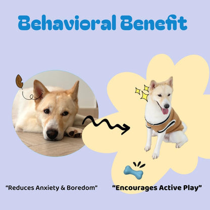 2 Pack Dog Puzzle Toy - Interactive Dog Treat Toy & Puzzle Dispenser - Enrichment Puzzle Toys for Smart Dogs & Puppies - Treat Dispensing Dog Toys for Cognitive Engagement & Fun Learning (Blue)